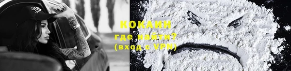 индика Абаза