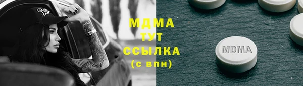 индика Абаза