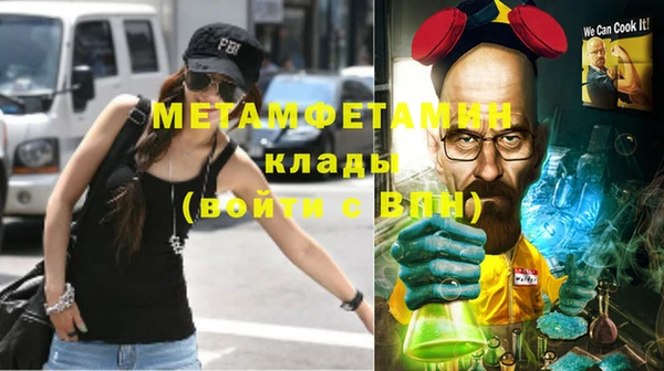 индика Абаза