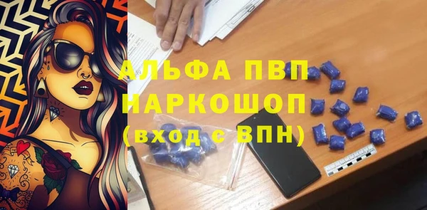 индика Абаза