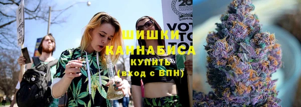 индика Абаза