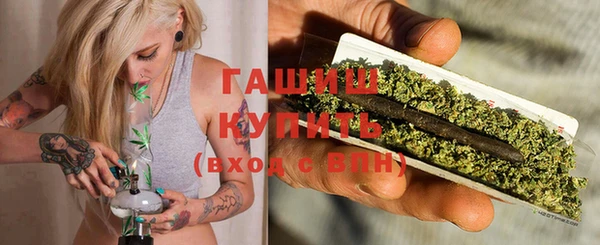 индика Абаза