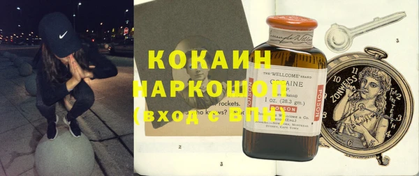 индика Абаза