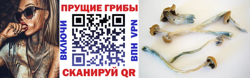 Галлюциногенные грибы прущие грибы  купить наркотики цена  blacksprut как зайти  Каменка 