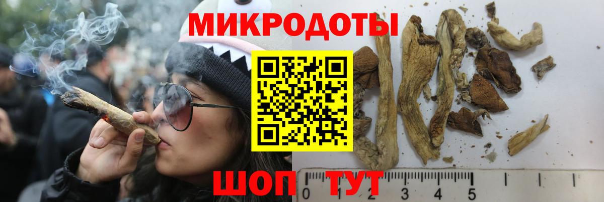 Каменка  Псилоцибиновые грибы MAGIC MUSHROOMS  Вход с VPN 
